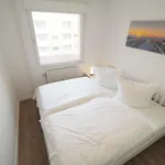 Apartment App 20-a147